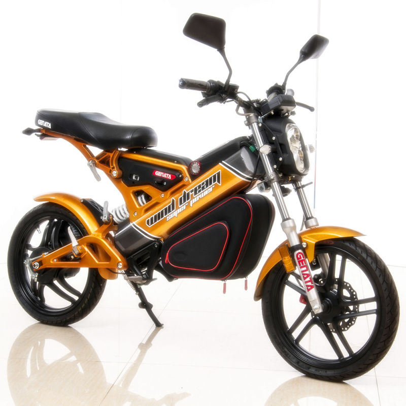 (Patented) Fashion Foldable Electric Bike (GM890E)