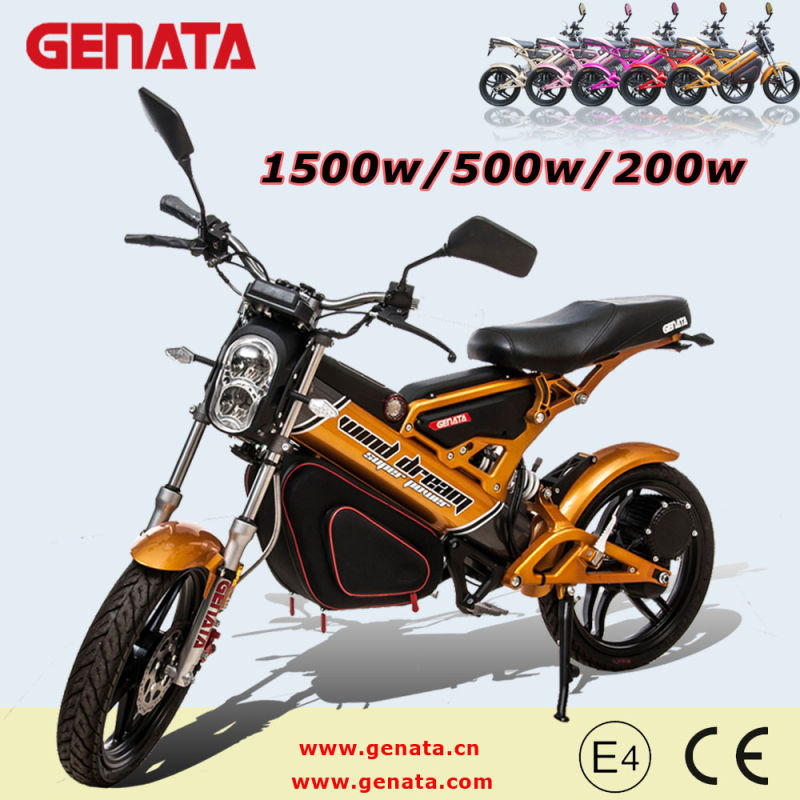 1500W/500W/200weec Folding Electric Bike (GM890E)