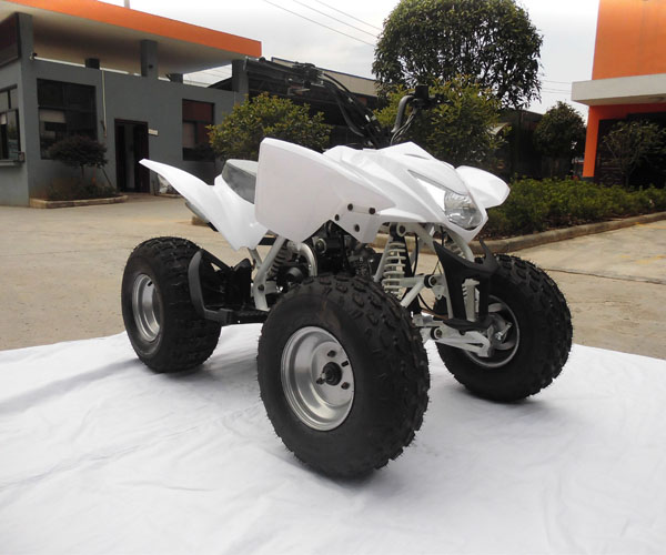 110cc Electric Start Engine Kids ATV Flying Tiger (ATV-6 Series)