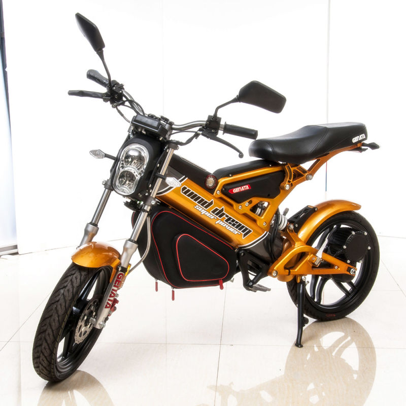 (Patented) Fashion Foldable Electric Bike (GM890E)
