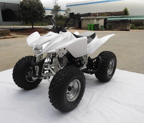 110cc Electric Start Engine Kids ATV Flying Tiger (ATV-6 Series)