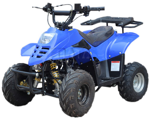 50cc/70cc/90cc/110cc Kids ATV Dinosaur (ATV-2 Series)