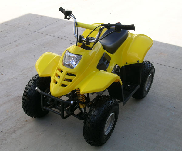 50cc/70cc/90cc/110cc Kids ATV Dinosaur (ATV-2 Series)