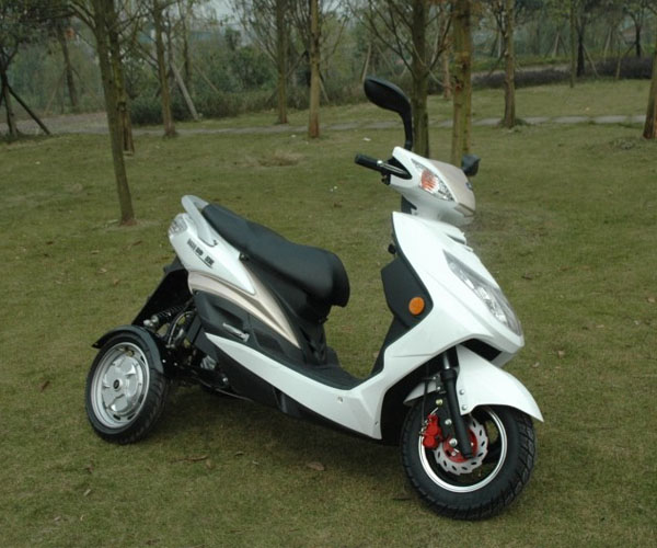 2000W/1000W 2013 New Three Wheel Electric Motorcycle (GM690E)