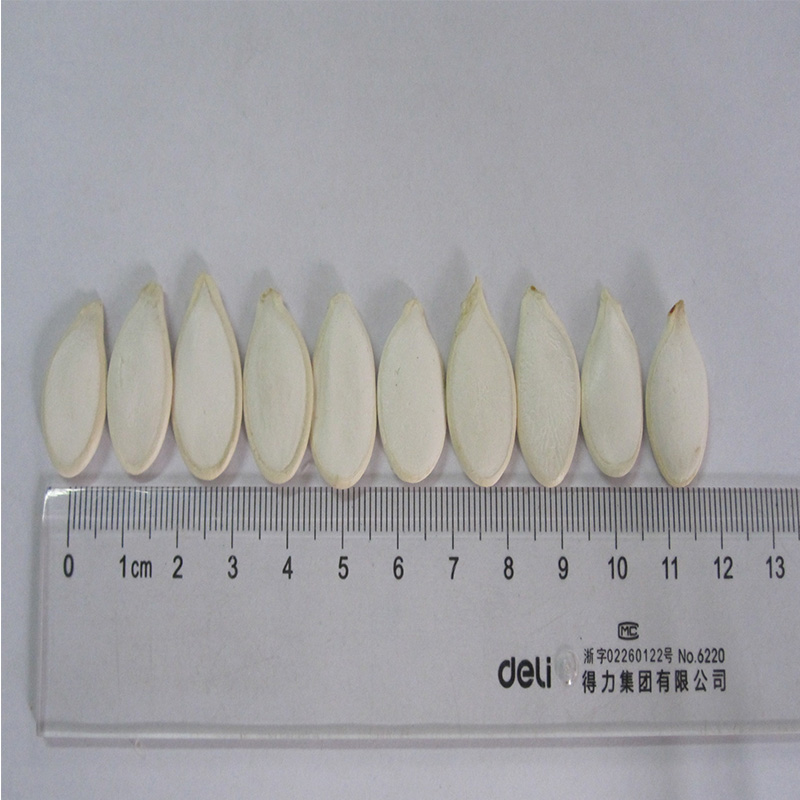 Raw Petites a, AA, Pumpkin Seeds Kernel