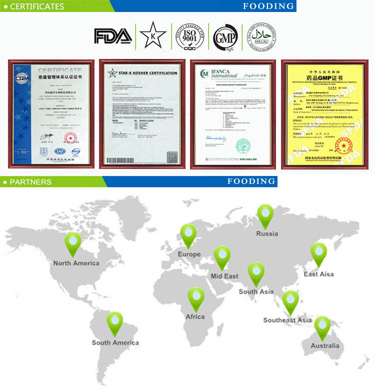 Food Additive High Quality Citric Acid Monohydrate / Citric Acid Anhydrous