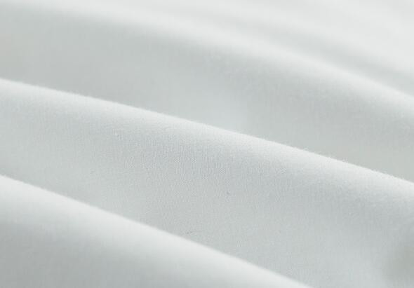 Soft Feeling White Goose Feather Filling Water Proof Topper/Protector