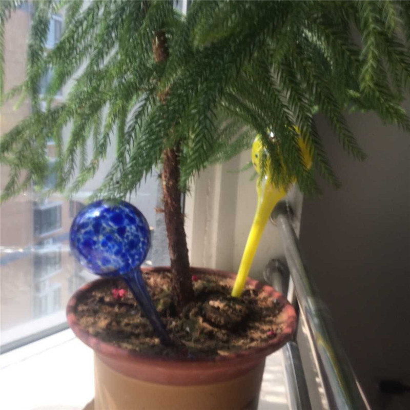 Plant Watering Glass Bulbs /Globes/Device/Spheres From Supplier