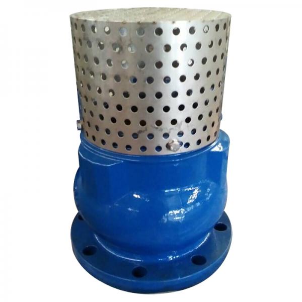 BS Cast Iron Pn16 Foot Valve with Strainer